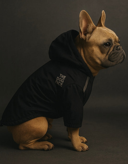 🐾 Veste Imperméable à Capuche pour Chien